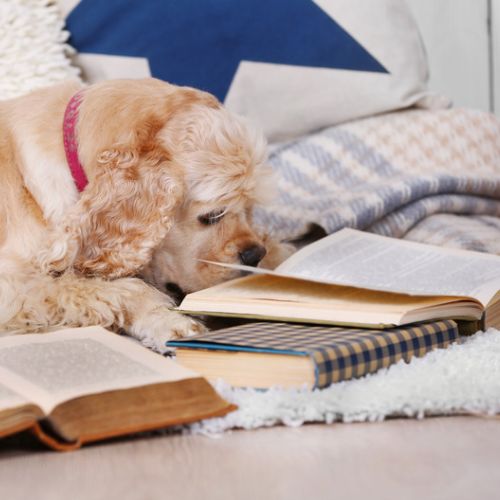 Libri sui cani- Centro di Cultura Cinofila