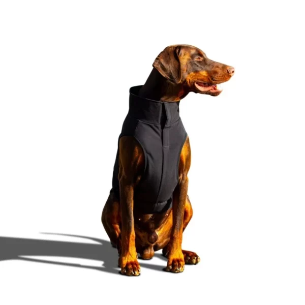 Cambridge Dogsport – Cappotto Softshell per Cani in 10 taglie diverse-right