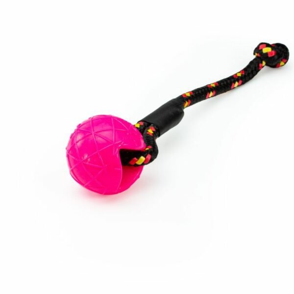 Moby Dog Ball Dogsport con passante di speed-Neon Pink