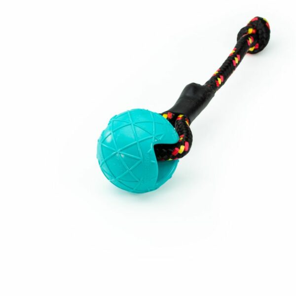 Moby Dog Ball Dogsport con passante di speed-Turchese